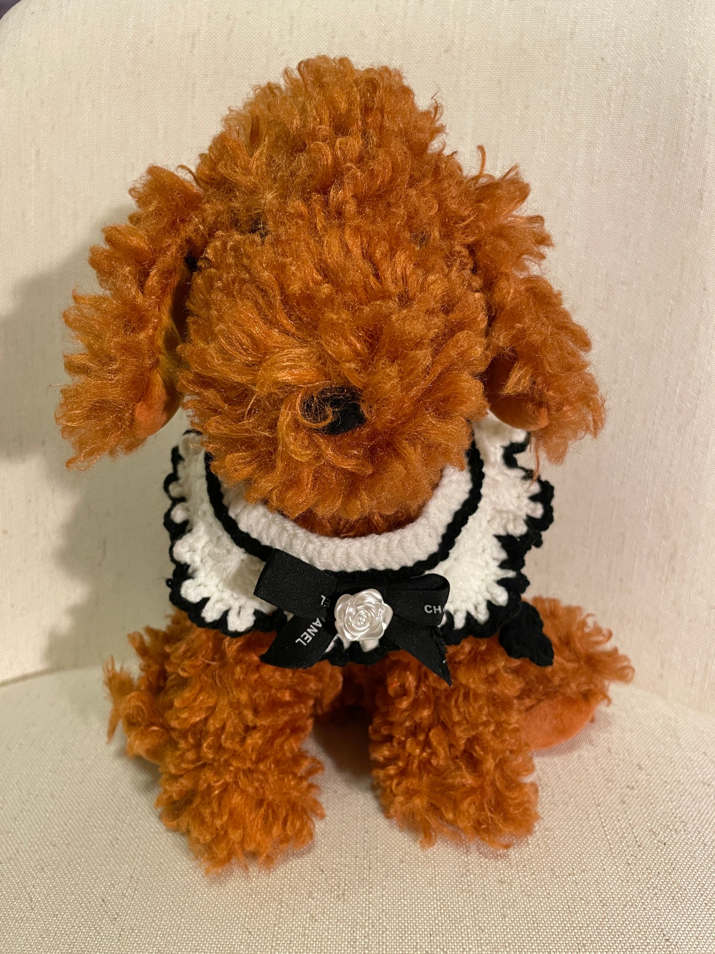 Animal Pet Collar