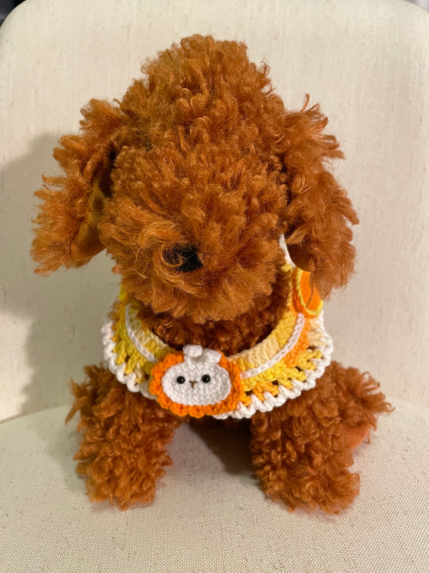 Animal Pet Collar